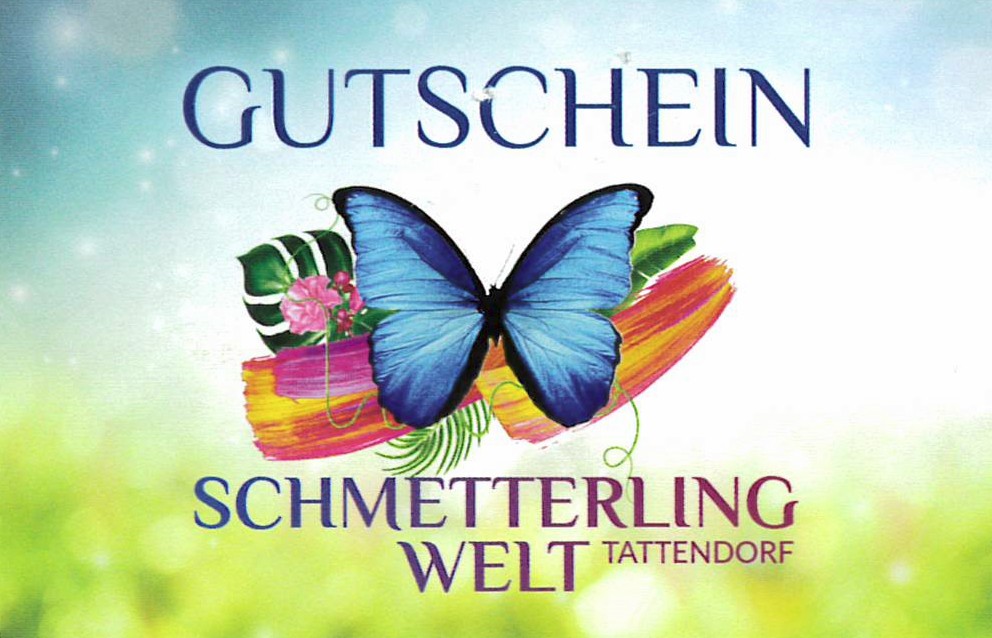 Schmetterlingwelt