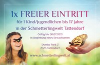 Schmetterling Gutschein Freier Eintritt